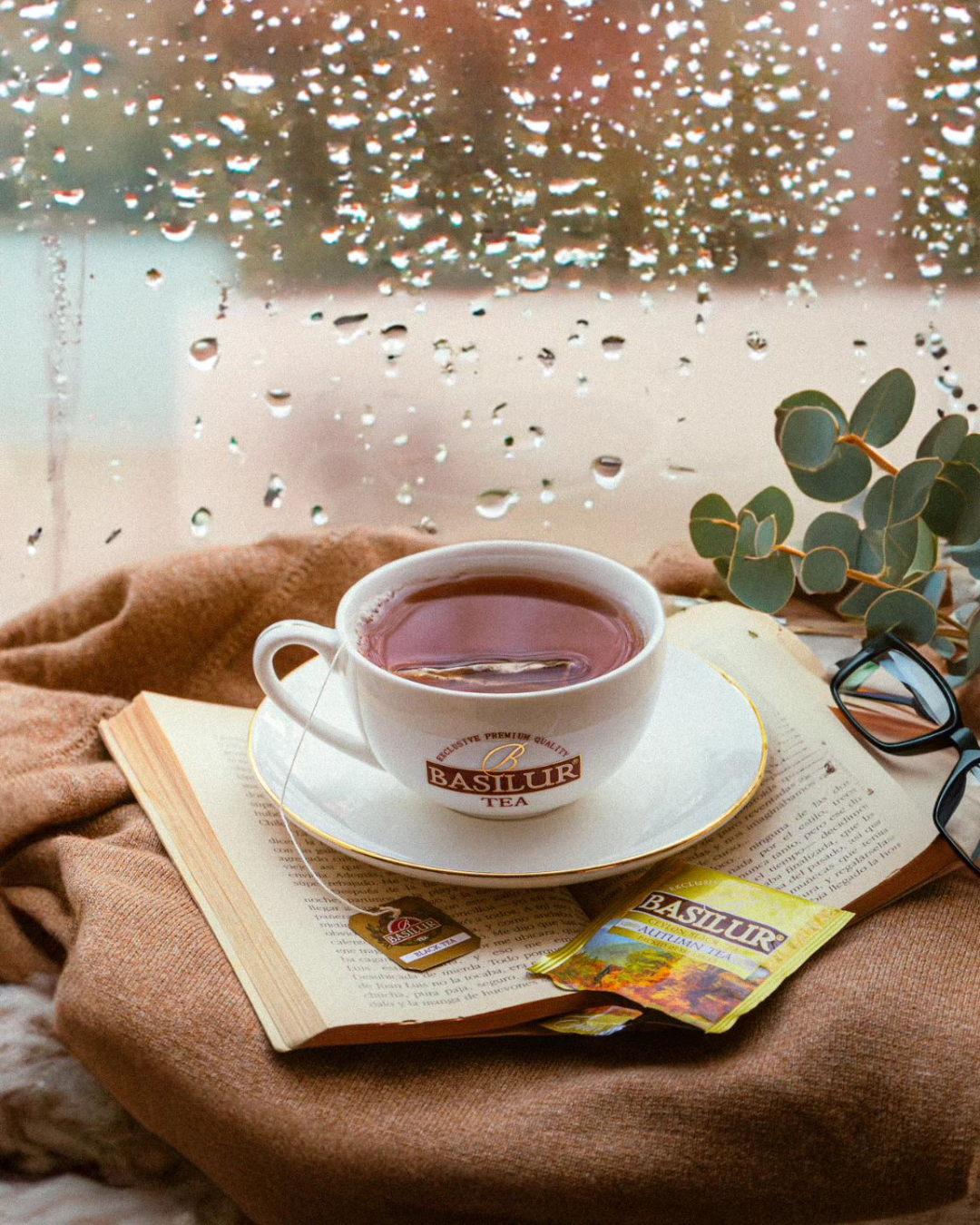 Te e Infusiones