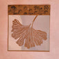 Stencil 20X20  Deco DC5102