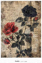 Lamina 20x30 cm DTF Textil DTF68