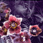 Servilleta Decoupage 611513