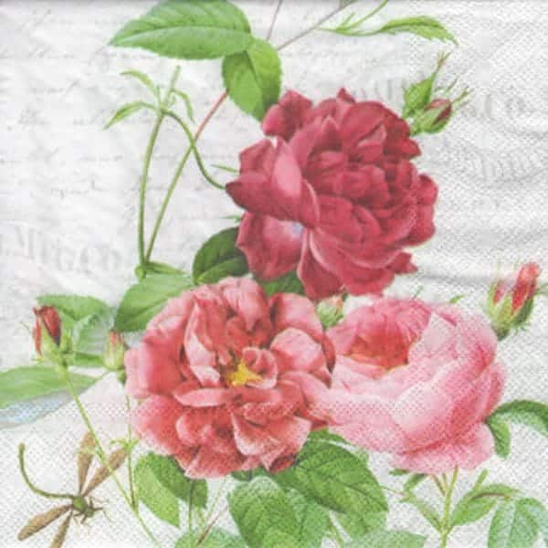 Servilleta Decoupage 13318145