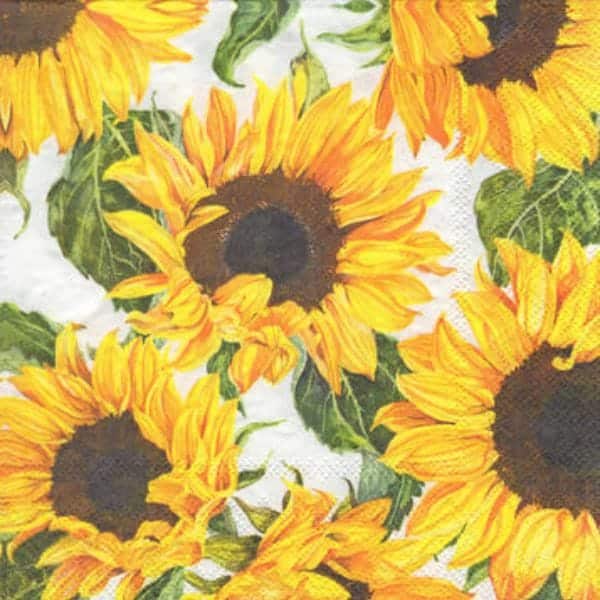 Servilleta Decoupage 13318535