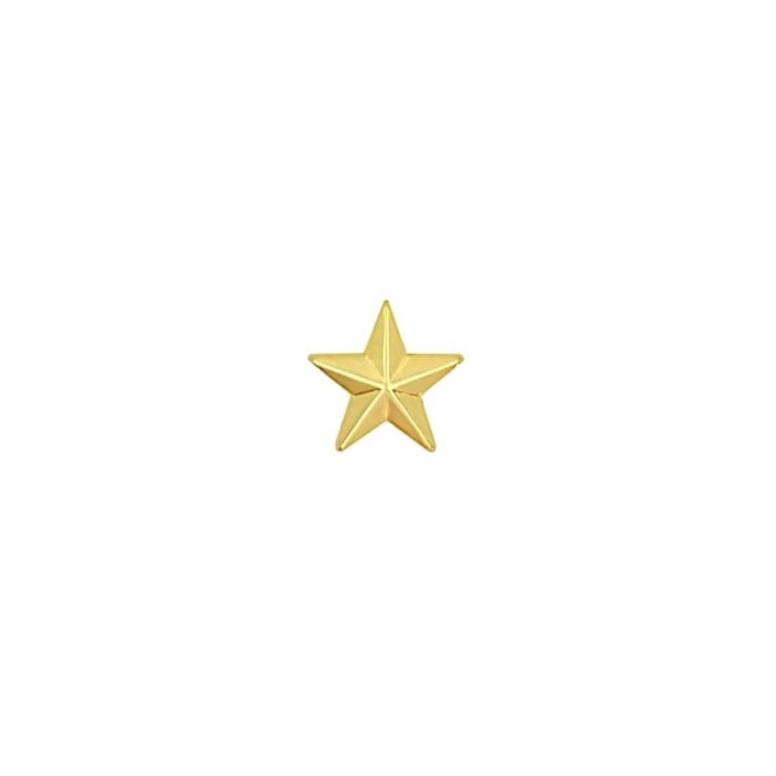 Adorno Estrella Dorada 12mm P20 Und. C8392