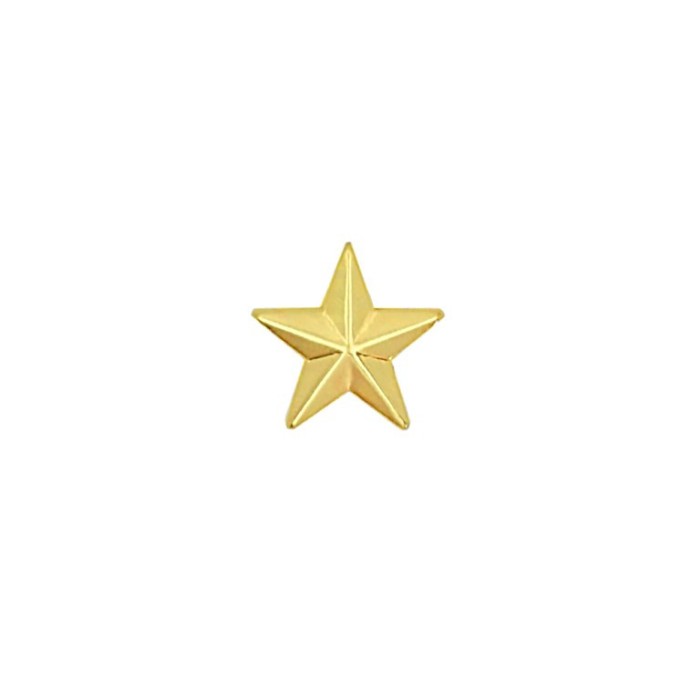 Adorno Estrella Dorada 20,5mm P20 Und. C8391
