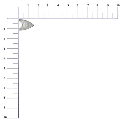 Adorno Puntera Estampada Niquel 10mm P20 Und. C8421