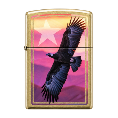 Encendedor Zippo Brass Andean Condor Chile ZP48267.CI426821