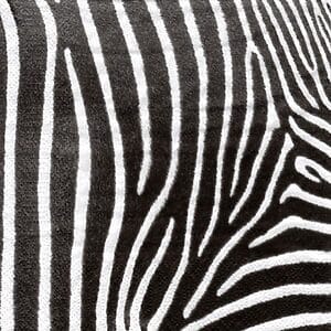 Servilleta Decoupage 191969 anukis.cl